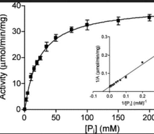 Kinetic and Substrate Binding Analysis of Phosphorylase b Via Electrospray Ionization Mass Spectrometry: A Model for Chemical Proteomics of Sugar Phosphorylases