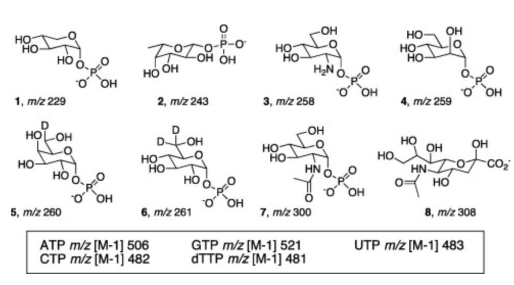 A mass-differentiated library strategy for identification of sugar nucleotidyltransferase activities from cell lysates