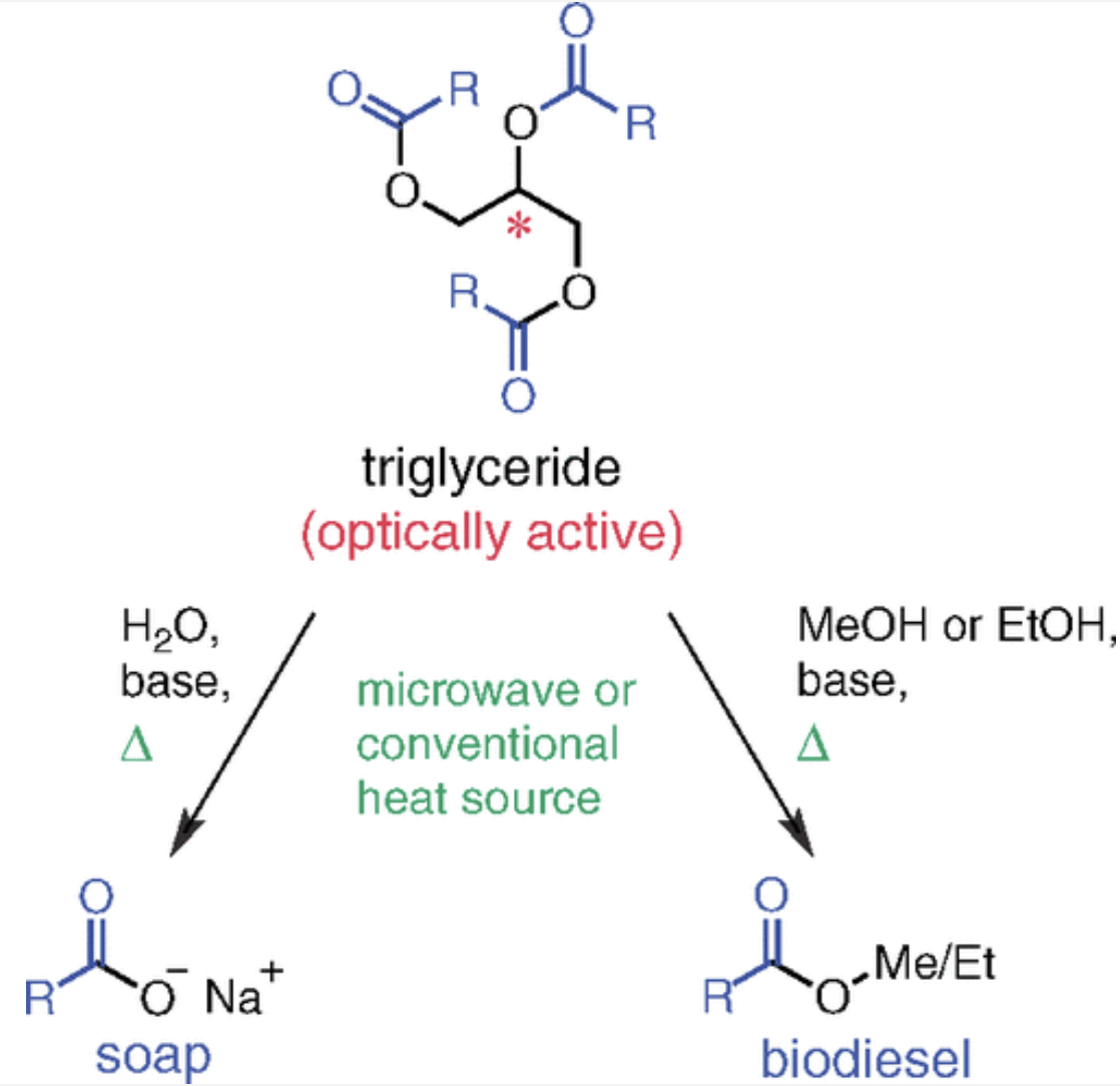 Evaluating Sustainability: Soap versus Biodiesel Production from Plant Oils
