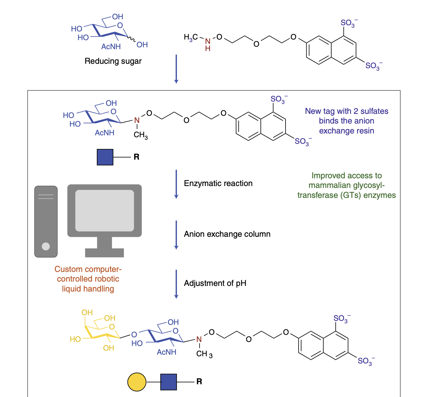 Robots Command Enzymes