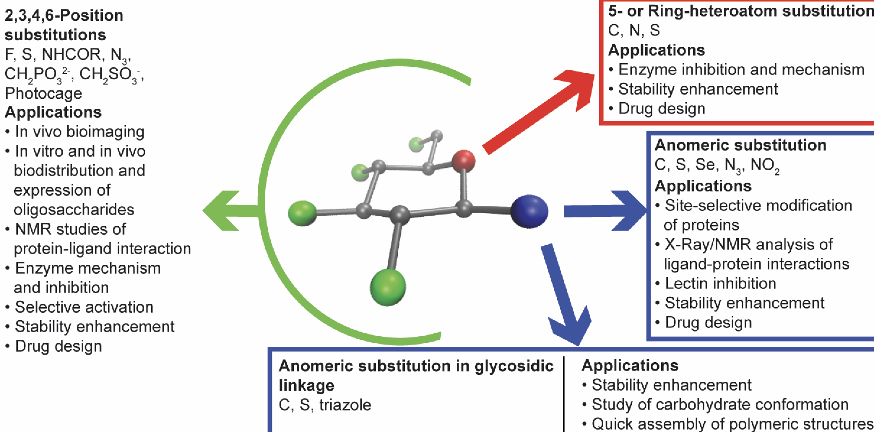 Designing Sugar Mimetics: Non-natural Pyranosides as Innovative Chemical Tools