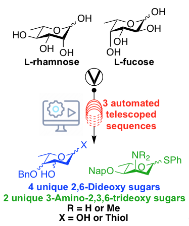 Automated, multistep continuous-flow synthesis of 2,6-dideoxy and 3-amino-2,3,6-trideoxy monosaccharide building blocks