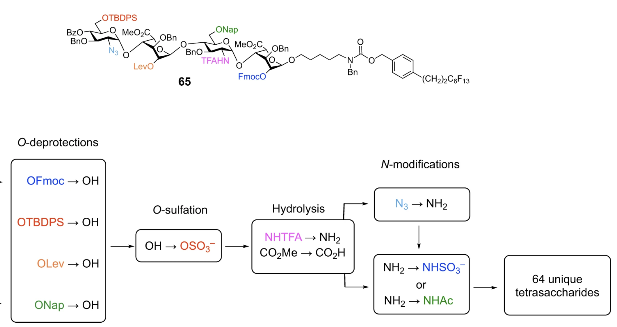 Efficient Platform for Synthesizing Comprehensive Heparan Sulfate Oligosaccharide Libraries for Decoding Glycosaminoglycan-Protein Interactions