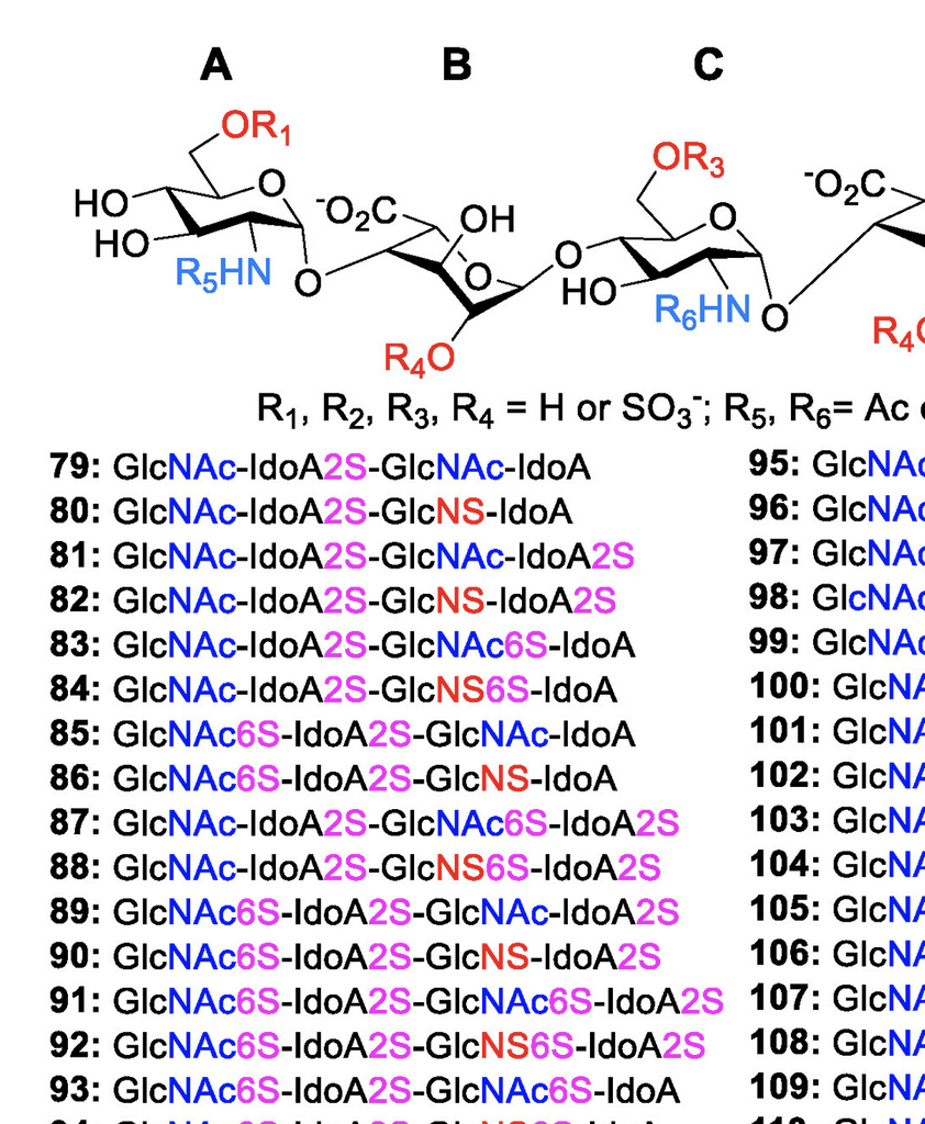 Recent advances in the synthesis of extensive libraries of heparan sulfate oligosaccharides for structure-activity relationship studies